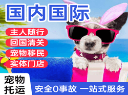 青岛胶东空运代理国际宠物托运 【国